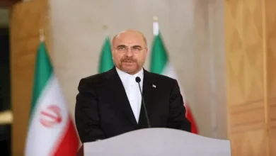 الجيش يعلن مقتل 15 مسلحًا خلال عملية عسكرية في شمال سيناء
