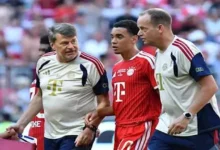 النادي الأهلي يعلن تجديد عقد اللاعب محمد الشناوي حتى 2026