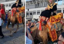 النادي الأهلي يعلن تجديد عقد المدرب مارسيل كولر حتى 2025