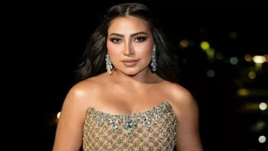 بوسي تتألق بفستان أنيق في أحدث ظهور لها وتستعد لحفلها في أبو ظبي