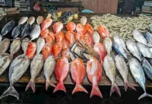 تراجع سعر الدولار الأمريكي مقابل الجنيه المصري إلى 30.85 جنيه في البنوك المصرية