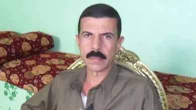 تراجع سعر صرف الجنيه المصري مقابل الدولار الأمريكي إلى 30.90 جنيه في السوق السوداء