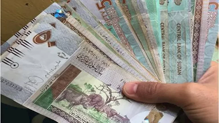 تراجع سعر صرف الجنيه المصري مقابل الدولار إلى 30.90 جنيهاً في السوق السوداء