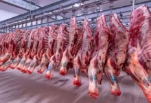 تراجع مؤشر الأسهم السعودية بنسبة 1.5% مع تزايد الضغوط البيعية