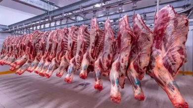 تراجع مؤشر الأسهم السعودية بنسبة 1.5% مع تزايد الضغوط البيعية