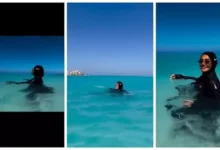 حلا شيحة تظهر في فيديو جديد وهي تسبح بالبوركيني خلال عطلتها الصيفية