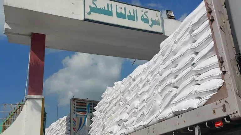 زيادة أسعار النفط بعد قرار أوبك+ بخفض الإنتاج في نوفمبر المقبل
