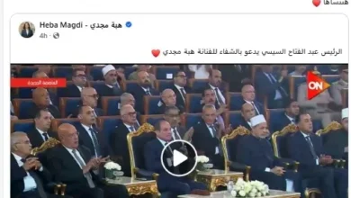 محمد محسن يشكر الرئيس السيسي على دعمه الإنساني لزوجته هبة مجدي خلال احتفالية المولد النبوي