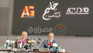مدحت العدل: تعرضت لهجوم بسبب اختيار بطل مسلسل العندليب وليس الكتابة