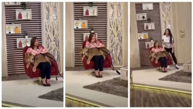 منال سلامة تنشر فيديو من كواليس برنامجها "حلو الكلام" مع شبل وتفاعل الجمهور