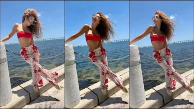 ميريام فارس تحتفل بنجاح حفلها في مالمو وتشارك صوراً من عطلتها الصيفية