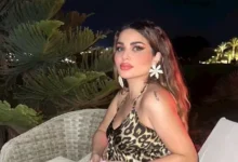 أعمال فنية تناولت قضايا المخدرات بالتزامن مع القبض على ندى الكامل وطليقها أحمد الفيشاوي