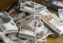 ارتفاع أسعار النفط بعد قرار أوبك+ بخفض الإنتاج في نوفمبر المقبل