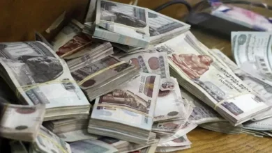 ارتفاع أسعار النفط بعد قرار أوبك+ بخفض الإنتاج في نوفمبر المقبل
