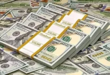 ارتفاع أسعار النفط مع توقعات بتقليص الإنتاج من أوبك+ في 2024