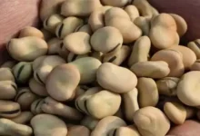 الاحتياطي الفيدرالي الأمريكي يرفع أسعار الفائدة بمقدار 25 نقطة أساس إلى 5.25%