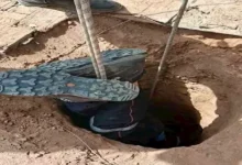 الجيش الإسرائيلي يعلن عن استهداف مواقع في غزة رداً على إطلاق صواريخ نحو أراضيه