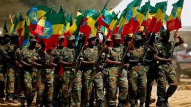 الجيش يعلن عن مقتل 15 مسلحاً في عملية عسكرية شمال سيناء