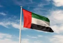 الجيش يعلن عن مقتل 20 مسلحًا خلال عملية عسكرية في شمال سيناء