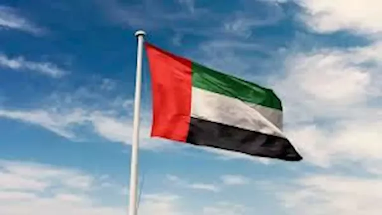 الجيش يعلن عن مقتل 20 مسلحًا خلال عملية عسكرية في شمال سيناء