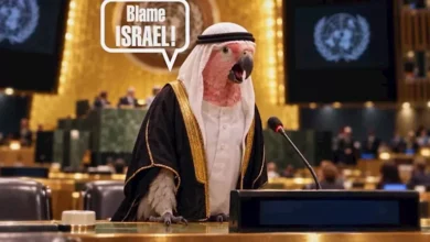 الجيش يعلن مقتل 15 مسلحًا خلال عملية أمنية في شمال سيناء