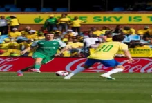 النادي الأهلي يعلن تجديد عقد اللاعب محمد الشناوي حتى 2026