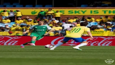 النادي الأهلي يعلن تجديد عقد اللاعب محمد الشناوي حتى 2026