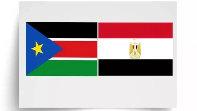 النادي الأهلي يعلن عن تجديد عقد اللاعب محمد الشناوي حتى 2026