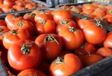 تراجع مؤشر الأسهم السعودية بنسبة 1.5% مع انخفاض أسعار النفط