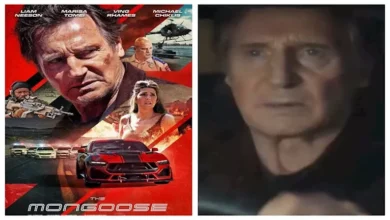 تسريب نسخة عالية الوضوح من فيلم ليام نيسون "النمس" قبل شهر من عرضه في السينمات
