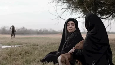 ثلاثة مشاريع سينمائية مدعومة من المورد الثقافي تشارك في مهرجان الجونة السينمائي التاسع