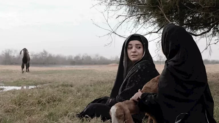 ثلاثة مشاريع سينمائية مدعومة من المورد الثقافي تشارك في مهرجان الجونة السينمائي التاسع