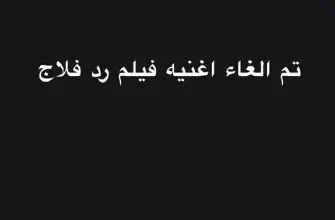 رامي صبري يعلن إلغاء الأغنية الدعائية لفيلم "ريد فلاج"
