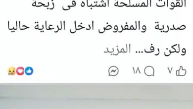 صالح أبو الدهب يستغيث بنقابته بعد اشتباه إصابته بذبحة صدرية في مستشفى المعادي