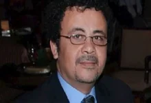 عمرو عرفة يعبر عن غضبه من إزالة الأشجار في شارع جامعة الدول العربية