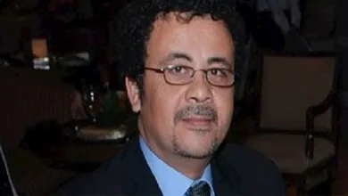عمرو عرفة يعبر عن غضبه من إزالة الأشجار في شارع جامعة الدول العربية