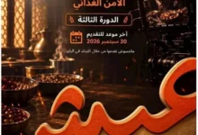 فتح باب التقديم لمسابقة "عيش" للأفلام القصيرة بالتعاون مع مهرجان الجونة