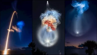 إطلاق هاتف Samsung Galaxy S24 بميزات متطورة وتصميم جديد