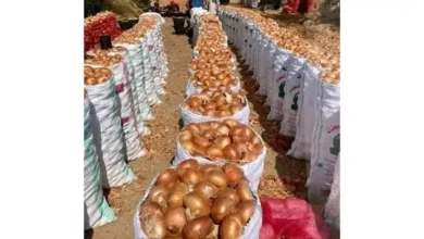 ارتفاع أسعار النفط بعد تقارير عن انخفاض المخزونات الأمريكية