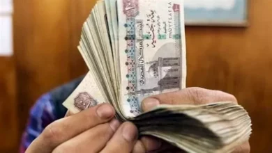ارتفاع أسعار النفط بعد قرار أوبك+ بخفض الإنتاج في 2023