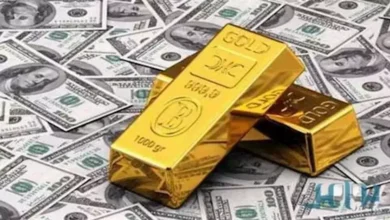 ارتفاع أسعار النفط بعد قرار أوبك+ بخفض الإنتاج في نوفمبر المقبل