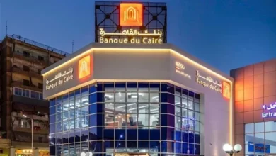 ارتفاع أسعار النفط بعد قرار أوبك+ بخفض الإنتاج بمقدار 1.66 مليون برميل يومياً