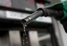 البنك المركزي المصري يثبت أسعار الفائدة عند 19% خلال اجتماع لجنة السياسة النقدية