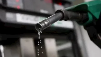 البنك المركزي المصري يثبت أسعار الفائدة عند 19% خلال اجتماع لجنة السياسة النقدية