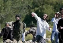 الجيش يعلن عن مقتل 15 مسلحًا في عملية أمنية شمال سيناء