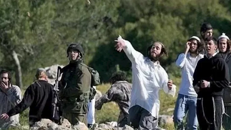 الجيش يعلن عن مقتل 15 مسلحًا في عملية أمنية شمال سيناء