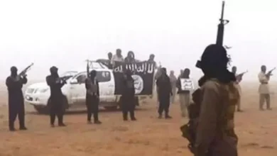 الجيش يعلن عن مقتل 15 مسلحًا في عملية أمنية شمال سيناء