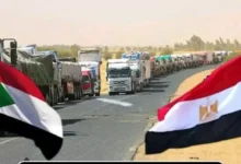 الجيش يعلن مقتل 15 مسلحاً في غارة جوية بشمال غرب سوريا