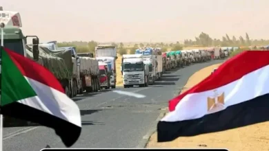 الجيش يعلن مقتل 15 مسلحاً في غارة جوية بشمال غرب سوريا