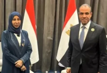 الجيش يعلن مقتل 15 مسلحًا خلال عملية أمنية في شمال سيناء